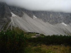 2013-09-08_6Falkenh-Steinfalk (351).JPG